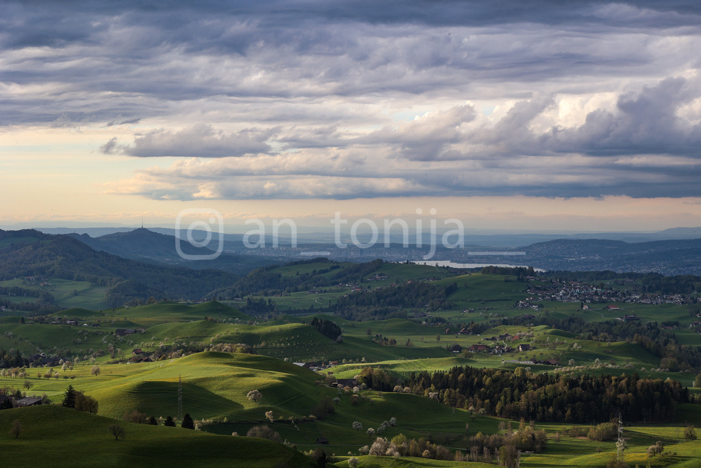 A.Trupina-64 | antonija-trupina - Realisiert mit Pictrs.com