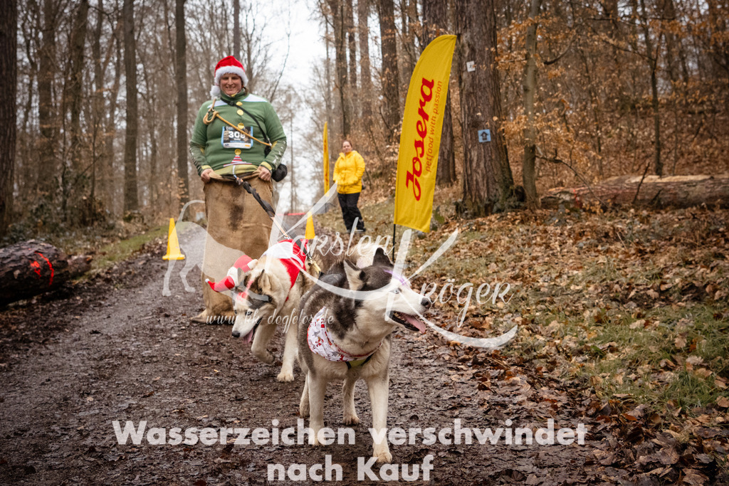 1142_ZZ91361 | kk-dogfotos