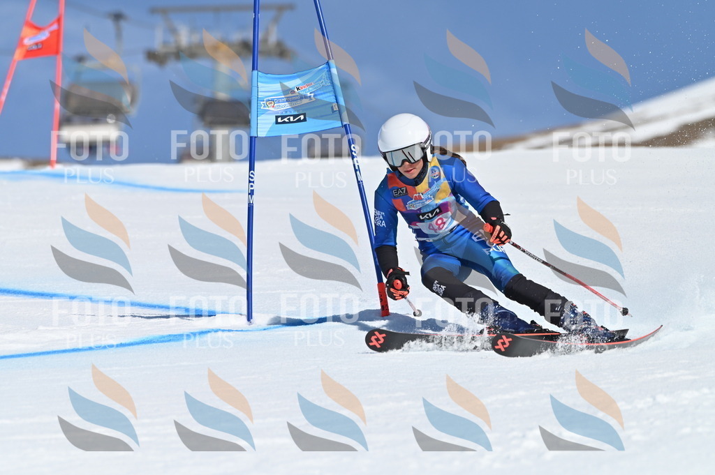 BGV_8502 | holidayphoto