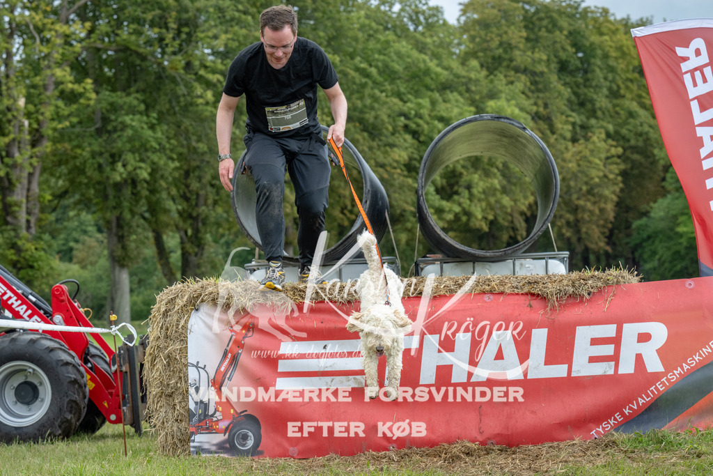 1129_ZZ94390 | kk-dogfotos