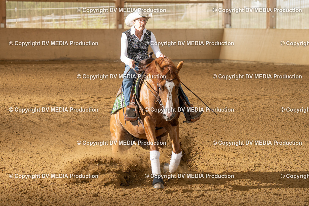 LAU01693 | dv-media-shop - Realisiert mit Pictrs.com