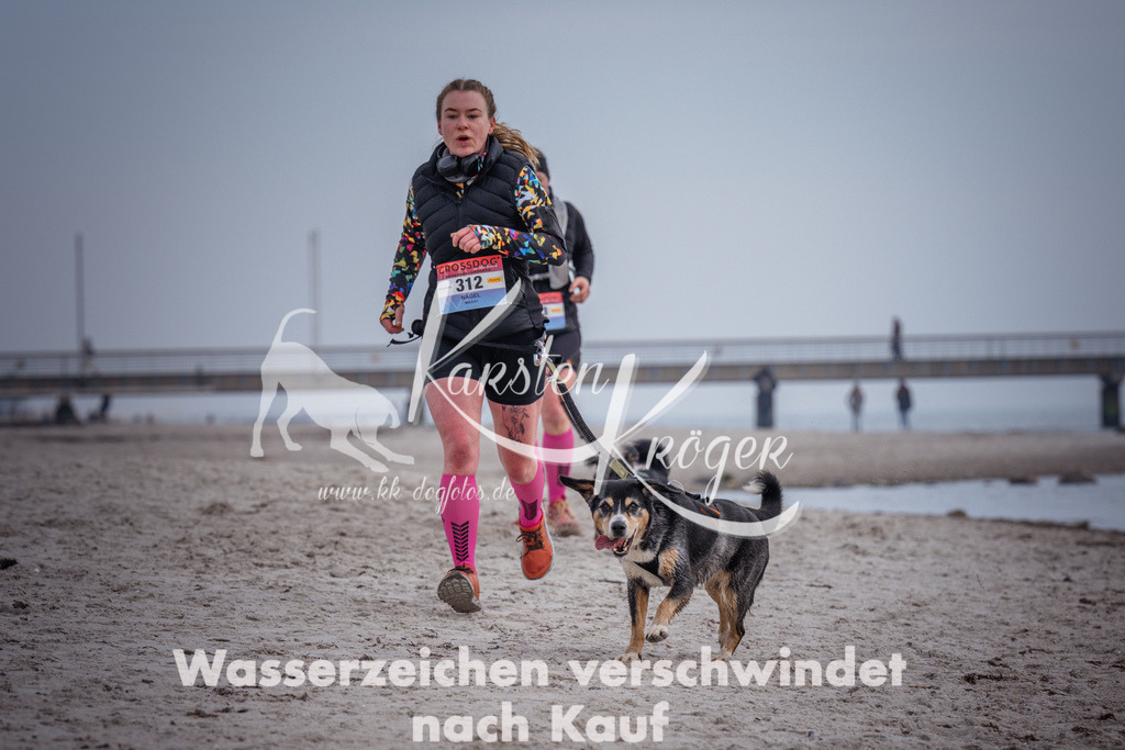 1138_ZZ99831 | kk-dogfotos