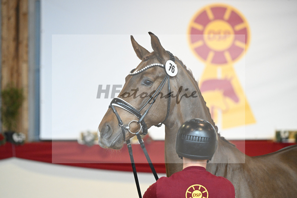 Kat-Nr. 76 Vitalis_Beckmann_1231517 | hf-fotografie - Realisiert mit Pictrs.com