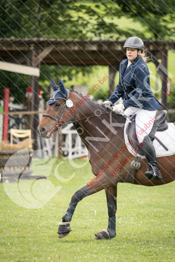 IMG_2546 | Sport-, Event- und Tierfotos in Profiqualität. Einfach auswählen, bestellen und herunterladen. Dein Moment – perfekt festgehalten.