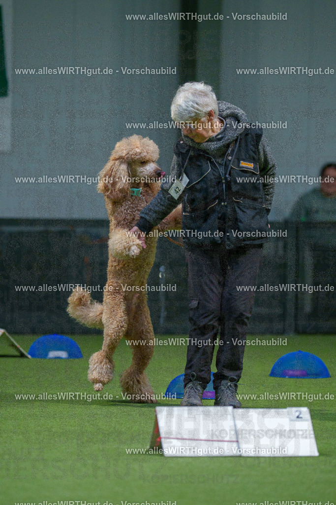 7R500226 | Professionelle Tierfotografie in Mönchengladbach von Daniel Wirth (allesWIRTHgut). Liebevolle & natürliche Bilder von Hunden & Katzen für unvergessliche Erinnerungen.