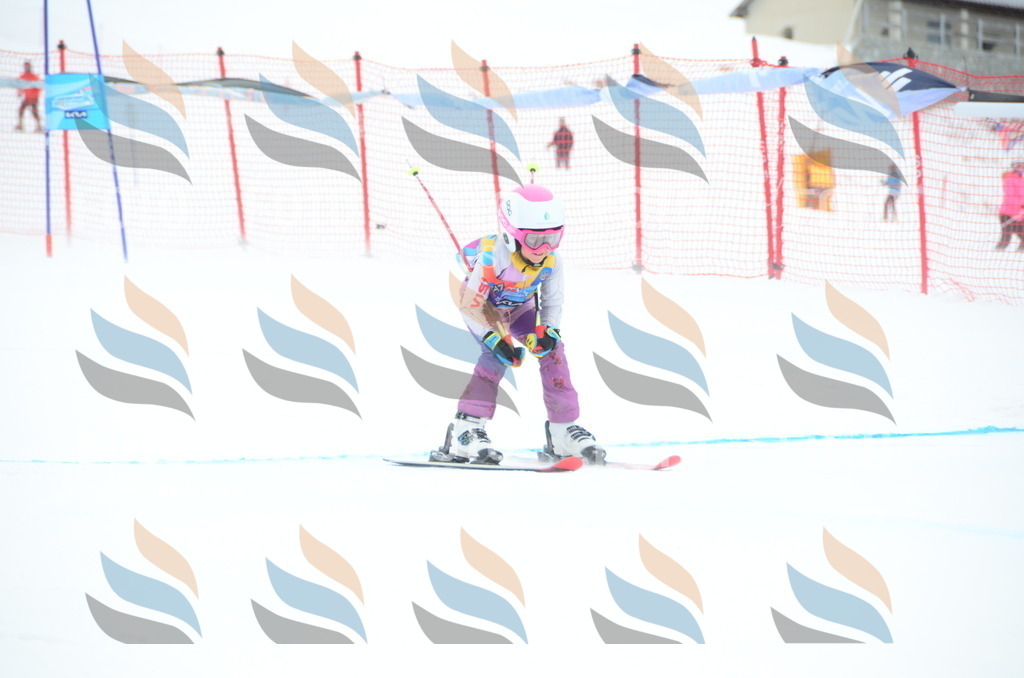 DSC_0885 | holidayphoto