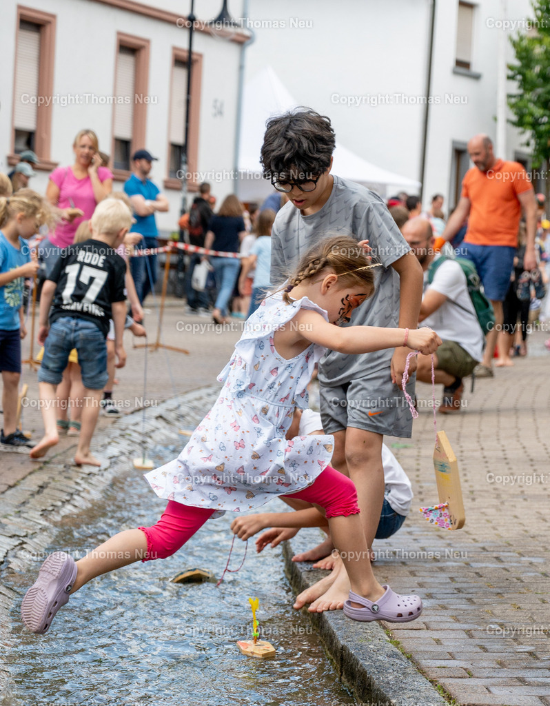 DSC_3137 | bbe, Auerbach, Bachregatta Bachgassenfest, ,, Bild: Thomas Neu