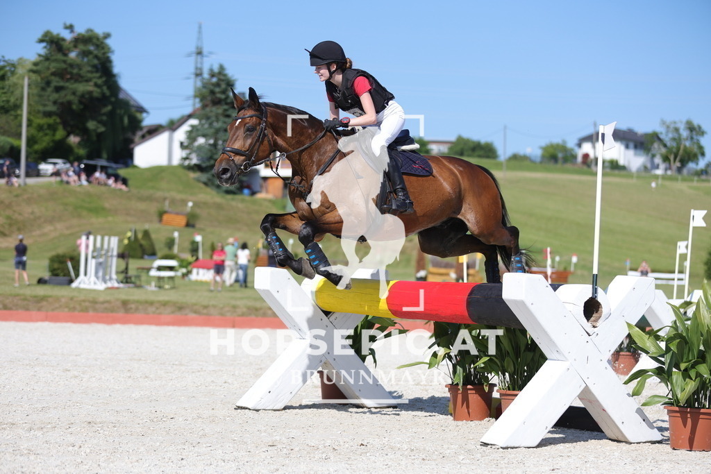 0P6A6320 | Willkommen bei Brunnmayr - Design & Fotografie – Ihrem Spezialisten für Reitturniere und Pferdeveranstaltungen in Oberösterreich, Salzburg und Bayern! Seit über 17 Jahren sind wir leidenschaftlich dabei.