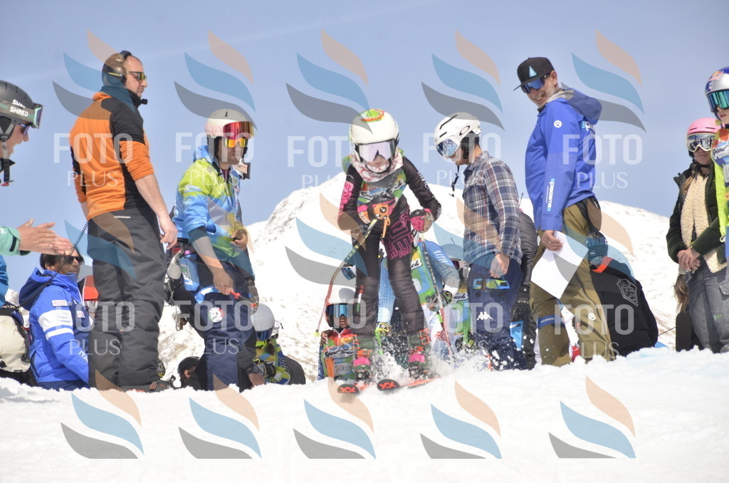 _ELE9085 | holidayphoto