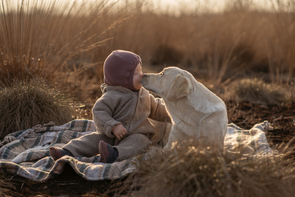 _DSC0079-2 | photography by friederike - Realisiert mit Pictrs.com