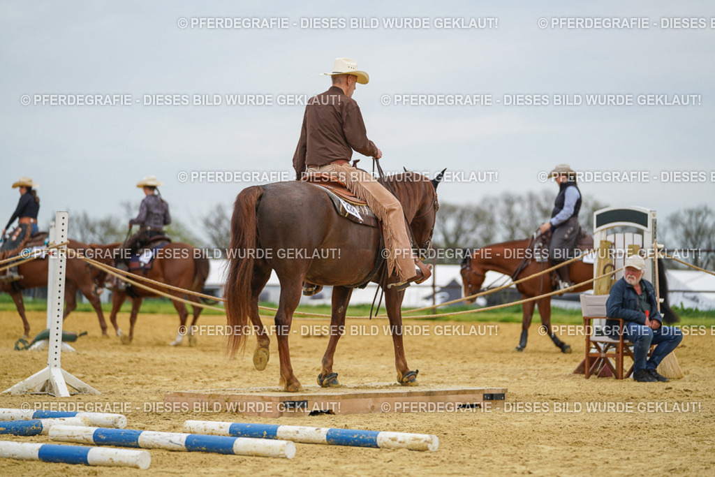 DSC02887 | Pferdegrafie