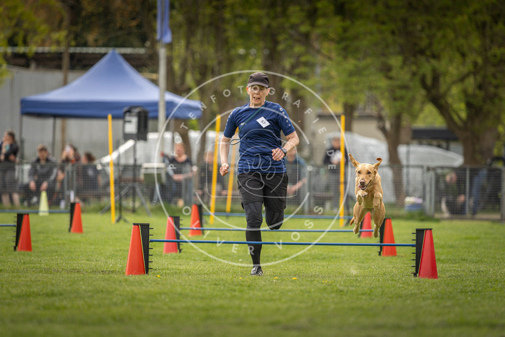 Pfotenfotografie_DV3A6313 | Hundefotografie, Tierfotograf, Pfotenfotografie, Fotoshooting Hund, Hunde Portrait, Hundesport, Hundeportraits, Heideshooting, Hunde, Sportfotograf, Hundefotograf, Turnierhundsport, THS,  - Realisiert mit Pictrs.com