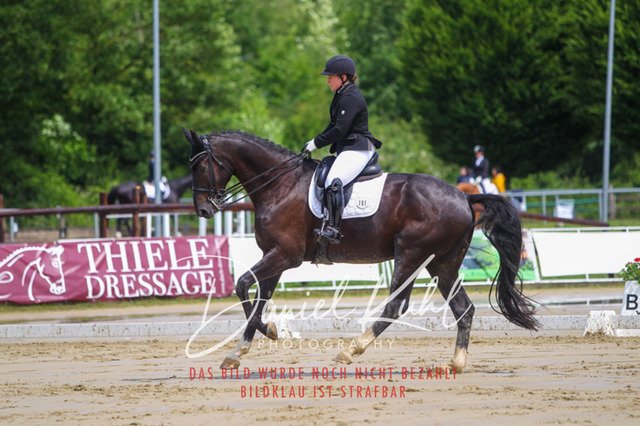 DKP40583 | Turniersportfotografie; Pferdefotografie; Dressurfotografie