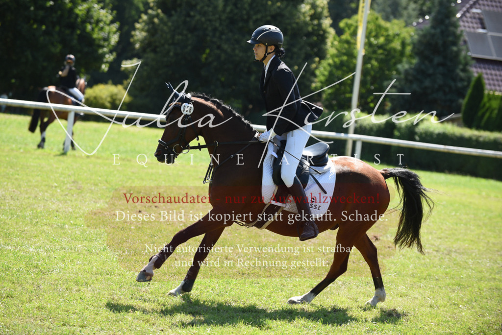 DSC_9560 | Pferde- und Turnierfotografie in Westsachsen. Pferdeportraits, Auftragszeichnungen und intuitive Kunst.