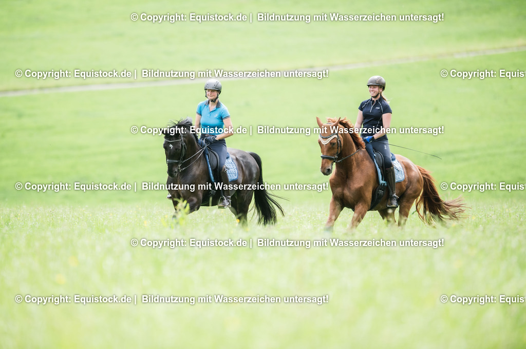 20210623_Gemeinsamer-Ausritt_0004 | Foto: Thomas Hartig