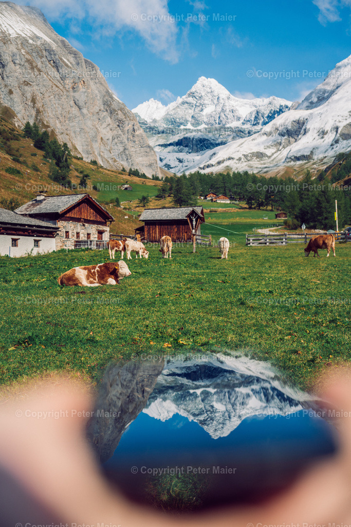 Kals_Herbst-327 | piet_flosse