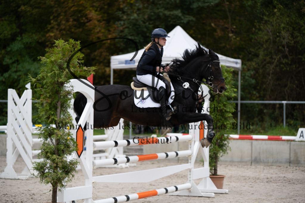 A7V00041 | Turnier/Reitfotograf
