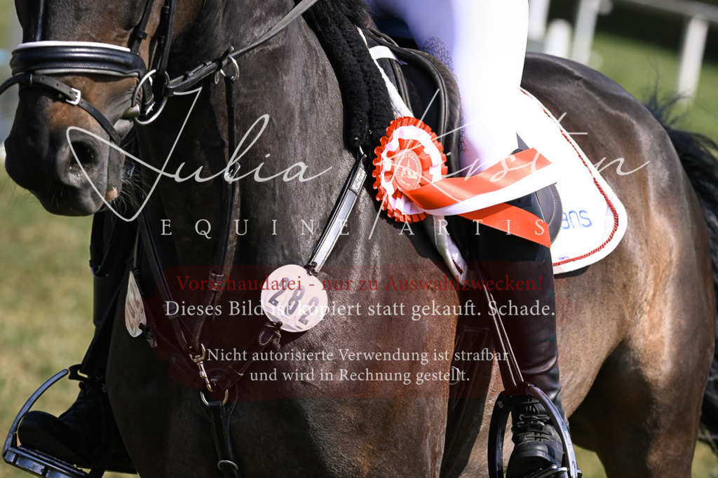 DSC_0740 | Pferde- und Turnierfotografie in Westsachsen. Pferdeportraits, Auftragszeichnungen und intuitive Kunst.