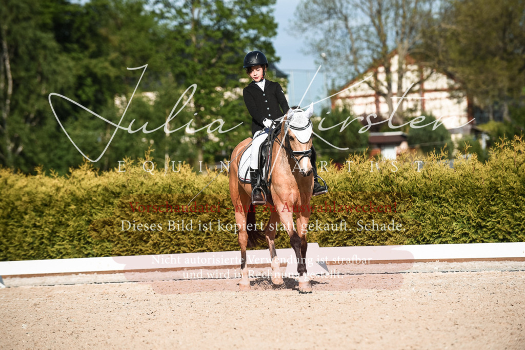 20230518_JK-Röhrsdorf-12-0925 | Pferde- und Turnierfotografie in Westsachsen. Pferdeportraits, Auftragszeichnungen und intuitive Kunst.