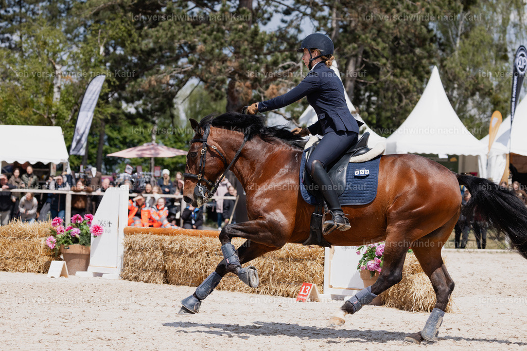 PI26_SP_StoibphotographyC2_C3365.CR3 | working equitationturnier fotograf videograf stoibphotography marixx film working equitation deutschland reitsport turnierfotografie eventfotografie equestrian events