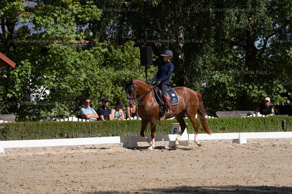 WL_DR_86_sinafilmart_IN06951 | working equitationturnier fotograf videograf stoibphotography marixx film working equitation deutschland reitsport turnierfotografie eventfotografie equestrian events