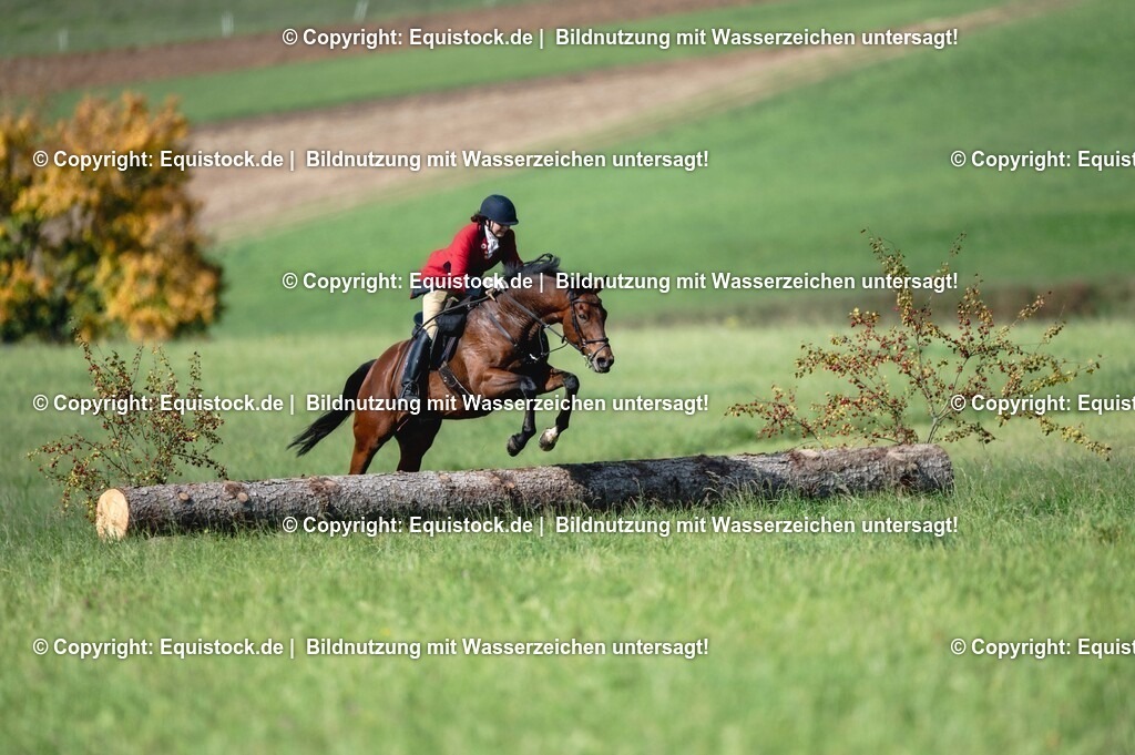 20251011_Jagd-Marbach_0214 | Foto: Thomas Hartig