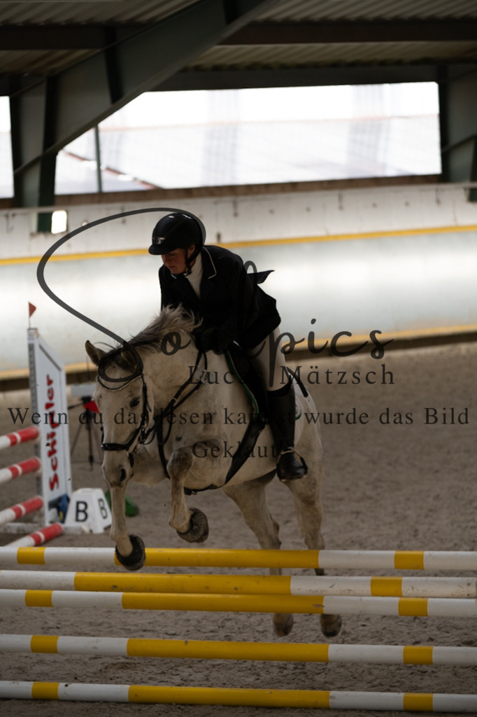 A7V02224 | Pferdefotograf