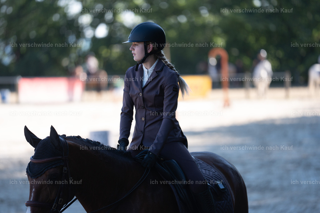 WL_SP_105_SinaFilmArt_IN05747 | working equitationturnier fotograf videograf stoibphotography marixx film working equitation deutschland reitsport turnierfotografie eventfotografie equestrian events