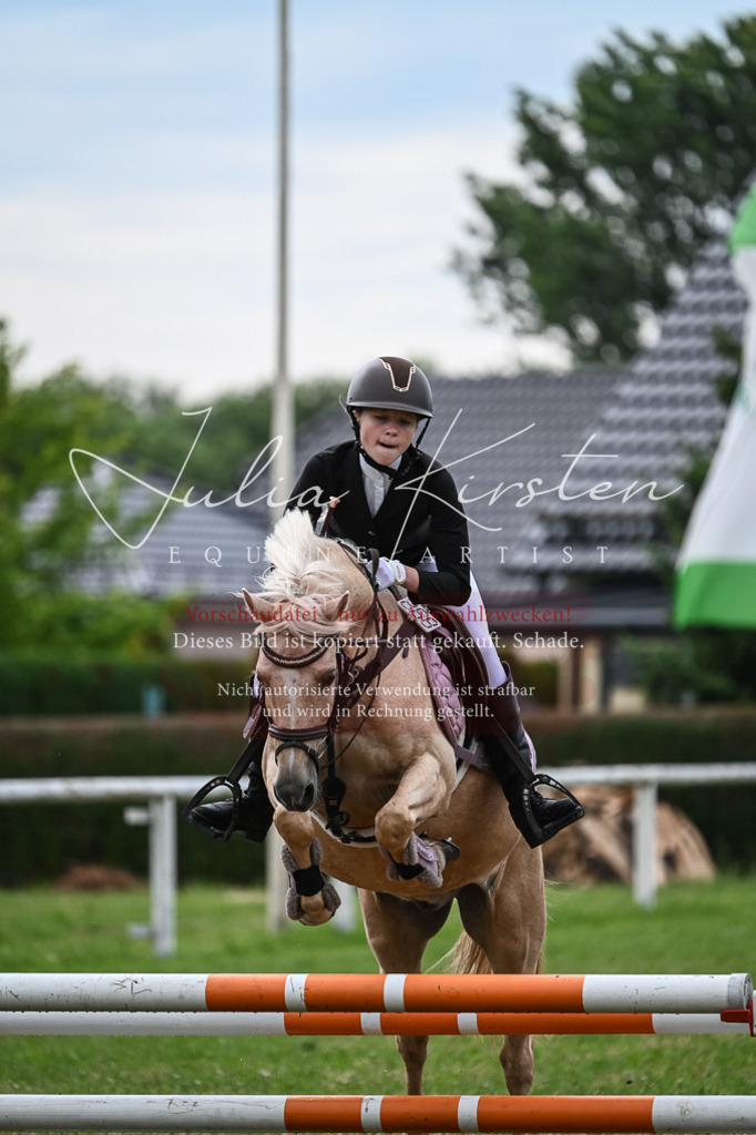DSC_8606 | Pferde- und Turnierfotografie in Westsachsen. Pferdeportraits, Auftragszeichnungen und intuitive Kunst.