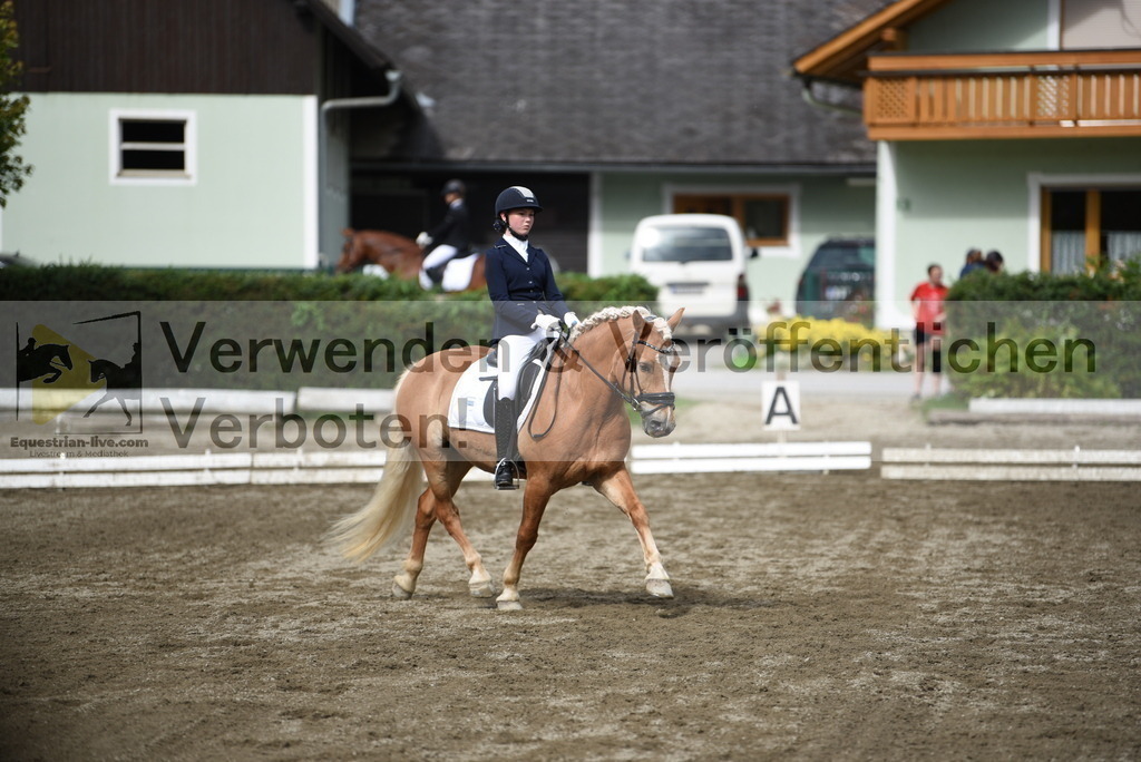 DSC_4978 | equestrian-live-com
