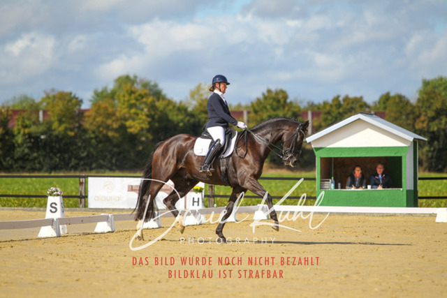 DKP44007 | Turniersportfotografie; Pferdefotografie; Dressurfotografie