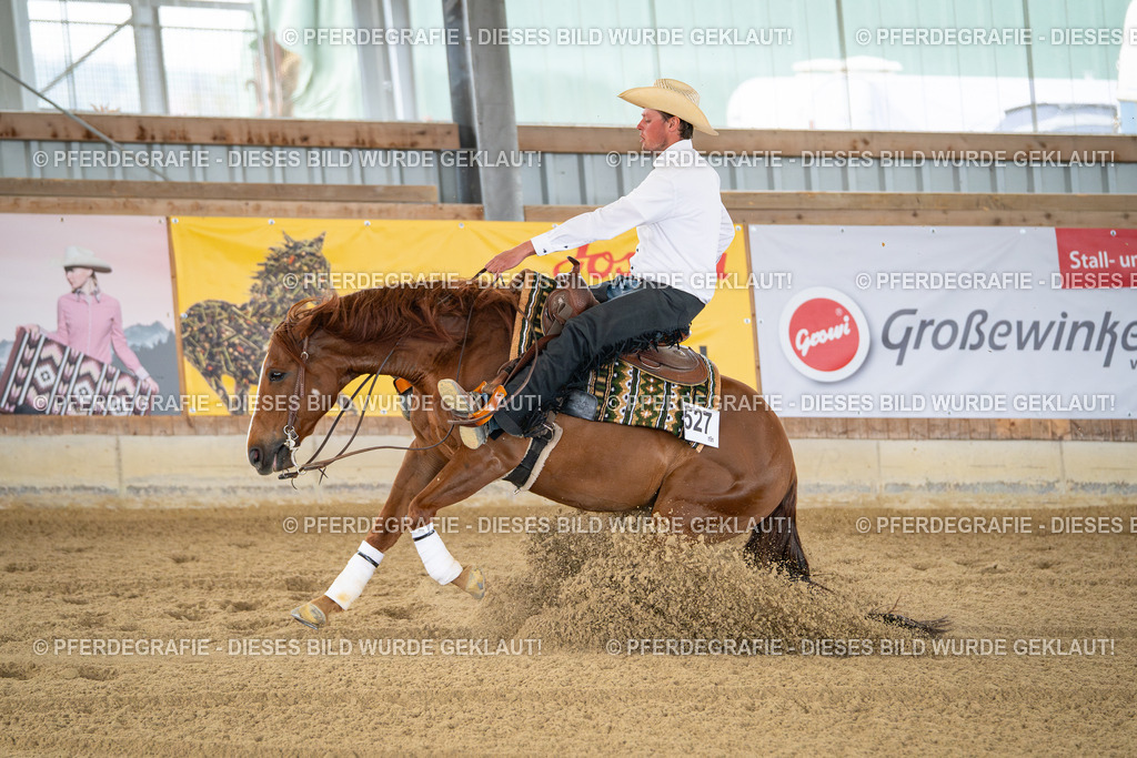 DSC07668 | Pferdegrafie