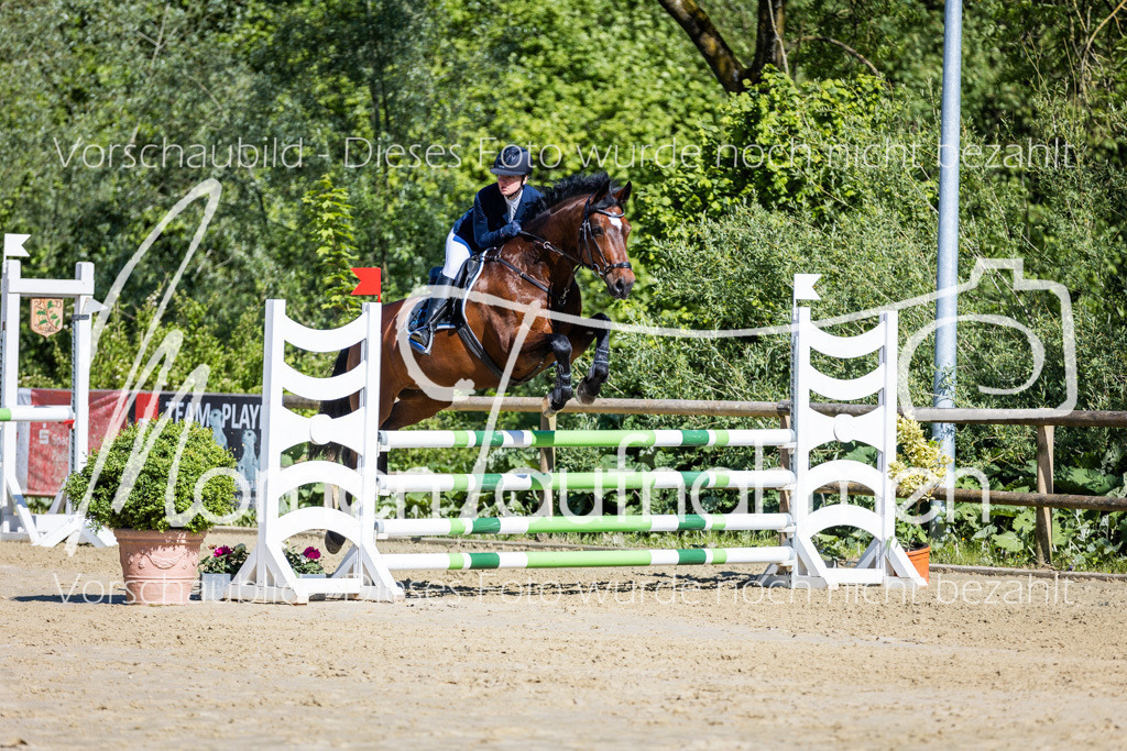 Donop24-A2Spr-083 | MomenTaufnahmen Pferdesportfotos