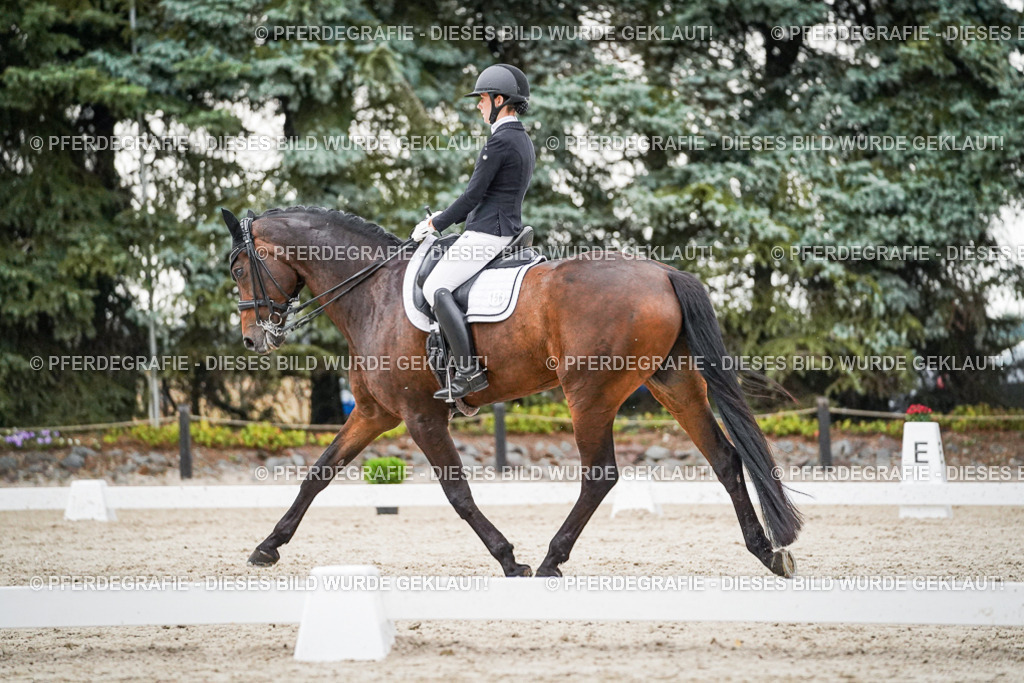 DSC09638 | Pferdegrafie