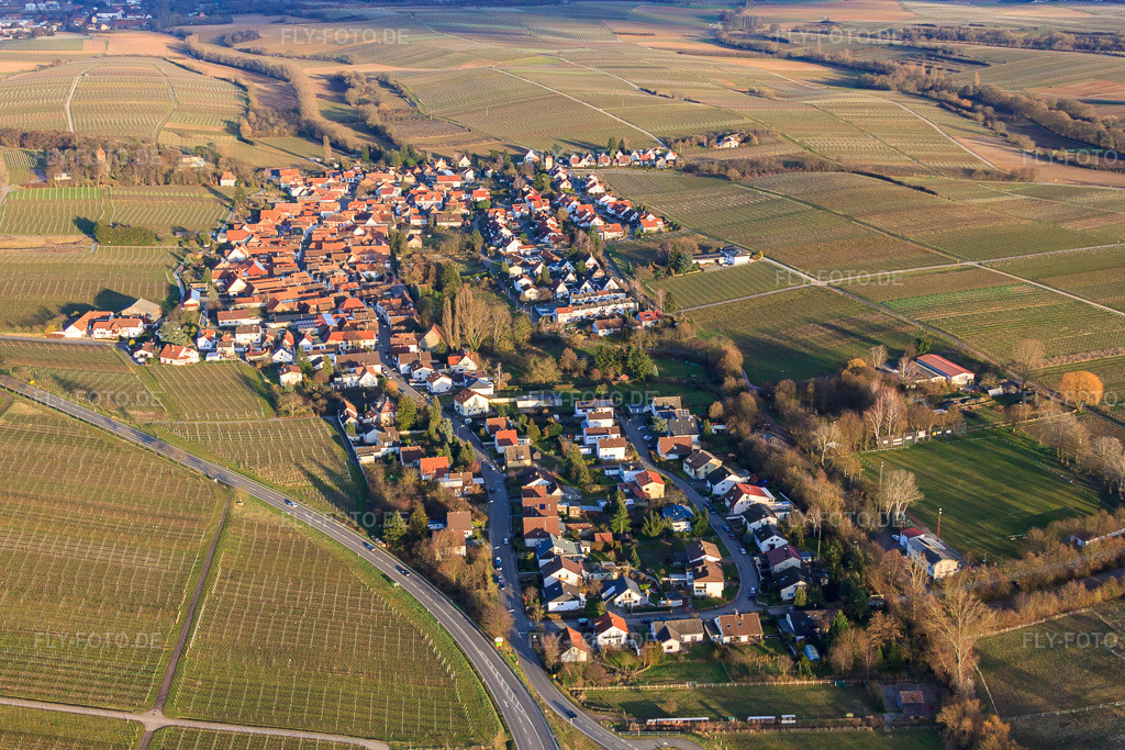 Luftbild: Dorfansicht im Winter aus Westen im Ortsteil Wollmesheim in Landau im Bundesland Rheinland-Pfalz in Deutschland. Foto: IMG_62205.jpg vom 23.02.2014 durch Werner Riehm/FLY-FOTO.de