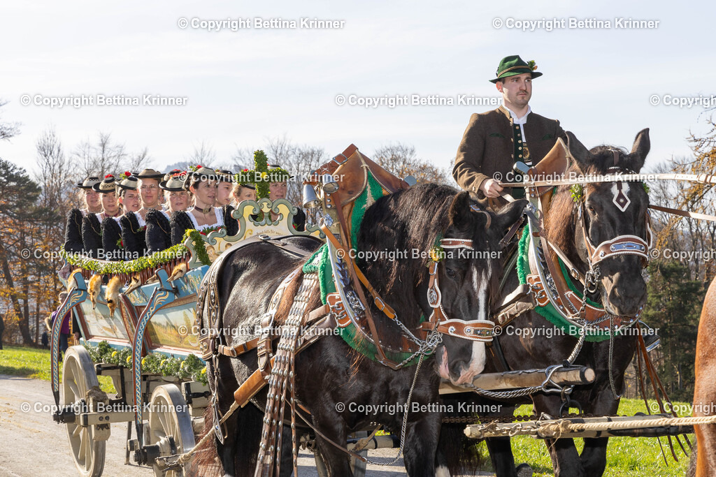 LBT24-1550 | foto-bettina-krinner - Realisiert mit Pictrs.com