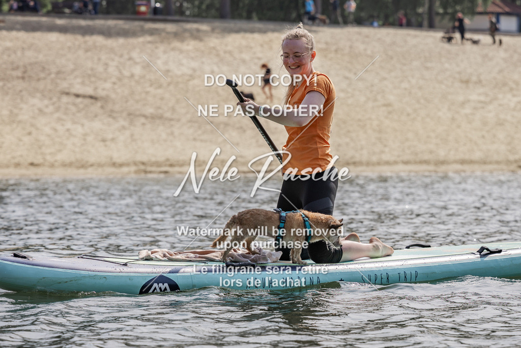 BUHU_SUP_415 | nelerasche
