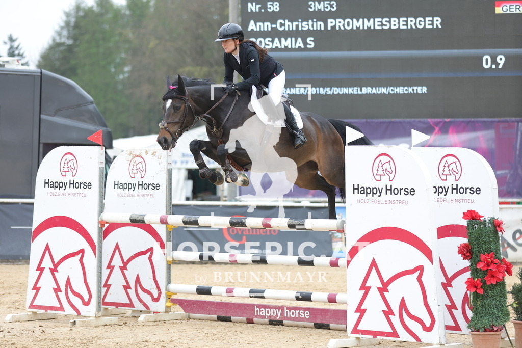 0P6A4204 | Willkommen bei Brunnmayr - Design & Fotografie – Ihrem Spezialisten für Reitturniere und Pferdeveranstaltungen in Oberösterreich, Salzburg und Bayern! Seit über 17 Jahren sind wir leidenschaftlich dabei.