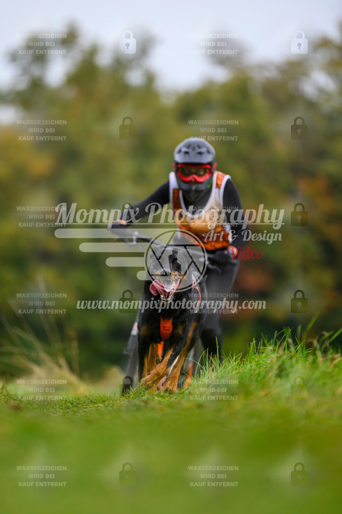 MompixPhotography_CDLBDB2025_DI_DS-85 | PayLife