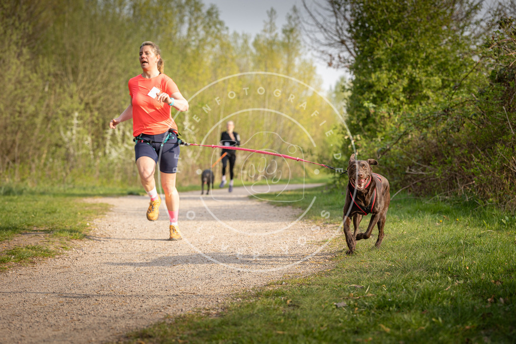 Pfotenfotografie_DV3A4592 | Hundefotografie, Tierfotograf, Pfotenfotografie, Fotoshooting Hund, Hunde Portrait, Hundesport, Hundeportraits, Heideshooting, Hunde, Sportfotograf, Hundefotograf, Turnierhundsport, THS,  - Realisiert mit Pictrs.com