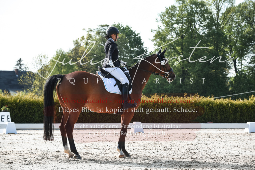20230518_JK-Röhrsdorf-09-0872 | Pferde- und Turnierfotografie in Westsachsen. Pferdeportraits, Auftragszeichnungen und intuitive Kunst.