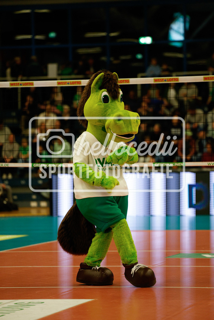 Volleyball I Frauen I Saison 2025-2026 I Bundesliga I 17. Spieltag I USC Münster - VfB Suhl LOTTO Thüringen I 07.02.2026-18 | realhellocedii - Realisiert mit Pictrs.com
