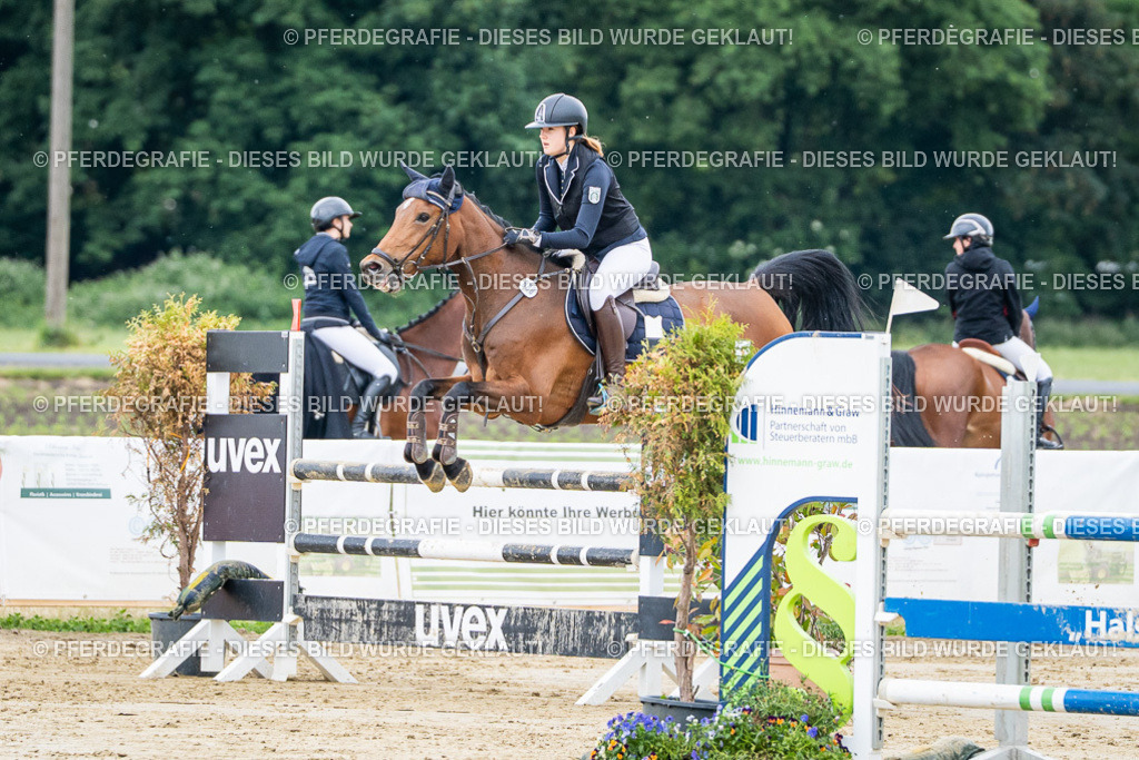 DSC04563 | Pferdegrafie