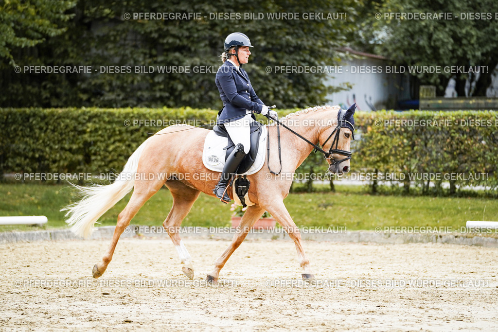 DSC08966 | Pferdegrafie