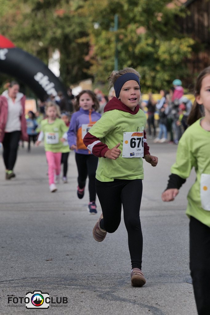 D (341) | Foto Buchgraber