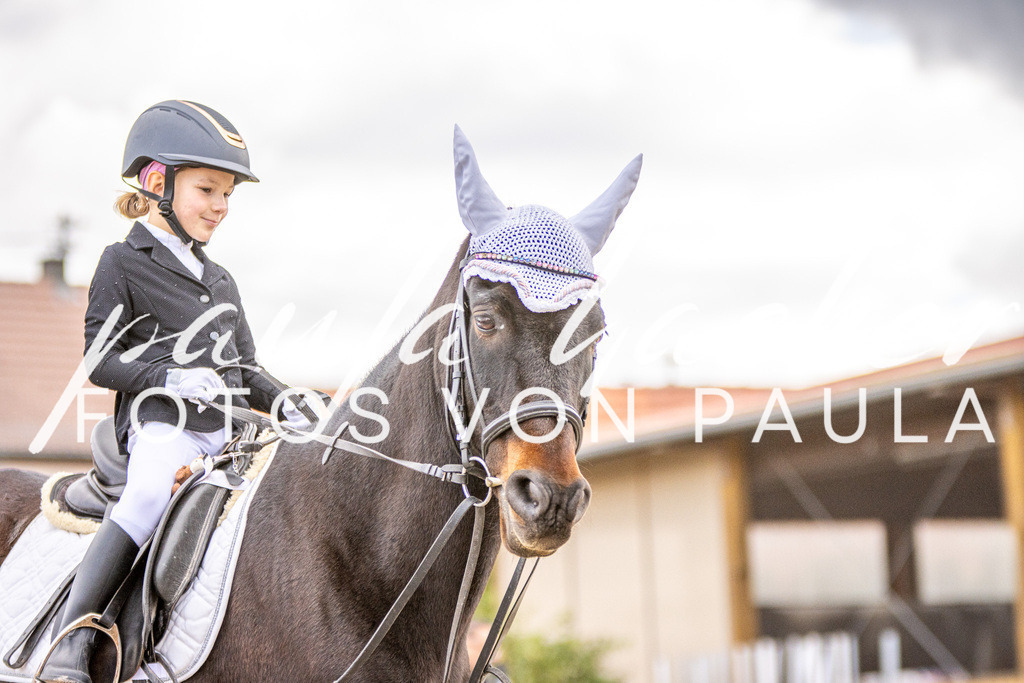 IMG_3540 | Erleben Sie dynamische Sport- und emotionale Tierfotografie in Süddeutschland mit Fotos von Paula. Spezialisiert auf Pferde- und Hundefotografie sowie Sportevents. Kontaktieren Sie mich für einzigartige und ausdrucksstarke Bilder Ihrer besonderen Momente. - Realisiert mit Pictrs.com