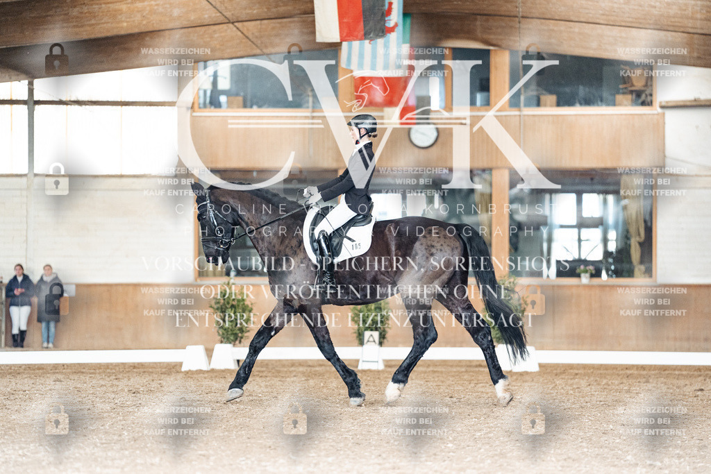 CK902127 | Turnierfotografie Pferdefotografie Trier Rheinland-Pfalz Pferdesport Reitsport Tierfotografie Sportfotografie Pferdevideo Pferdevideografie Equestrianvideography equestrianphotography  - Realisiert mit Pictrs.com