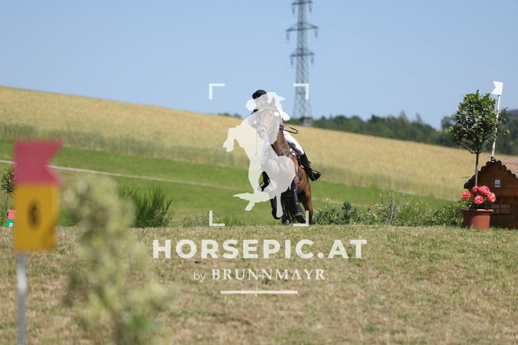 0P6A5761 | Willkommen bei Brunnmayr - Design & Fotografie – Ihrem Spezialisten für Reitturniere und Pferdeveranstaltungen in Oberösterreich, Salzburg und Bayern! Seit über 17 Jahren sind wir leidenschaftlich dabei.