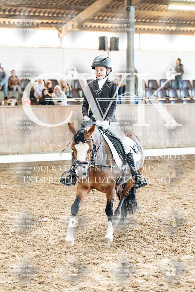 CK900377 | Turnierfotografie Pferdefotografie Trier Rheinland-Pfalz Pferdesport Reitsport Tierfotografie Sportfotografie Pferdevideo Pferdevideografie Equestrianvideography equestrianphotography  - Realisiert mit Pictrs.com