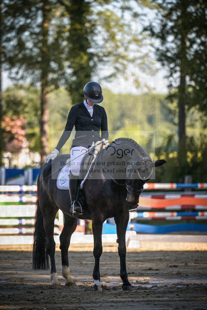DOS_4017 | Entdecke hochwertige Reitturnierfotos von Foto Oger. Professionell, emotional und authentisch – jetzt Lieblingsmomente im Shop bestellen.Deutschlandweite Turnierfotografie. - Realisiert mit Pictrs.com